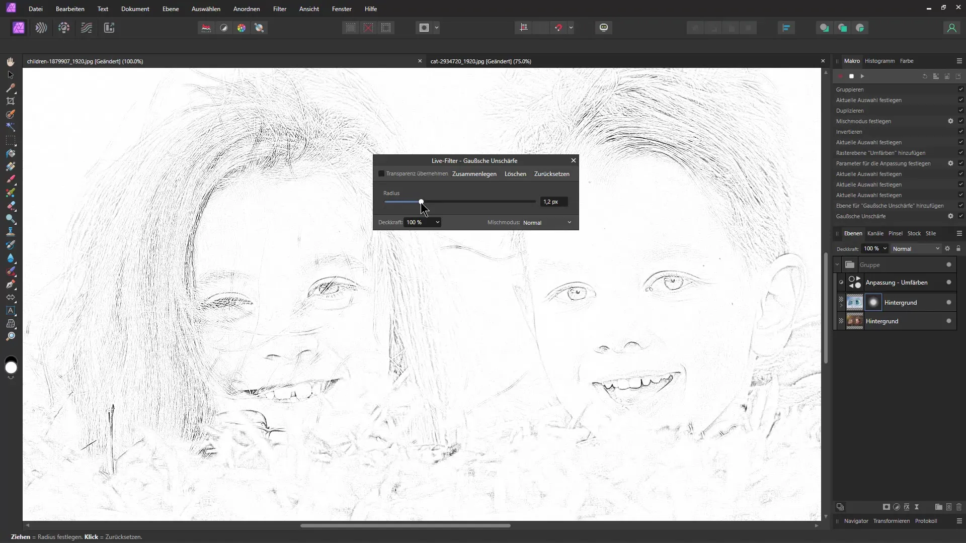 Pencil drawing in Affinity Photo: Step-by-step guide with macro