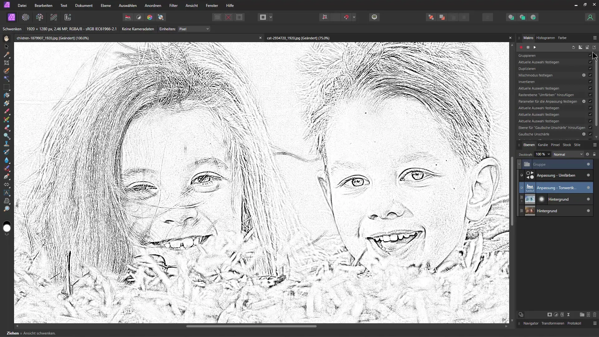 Pencil drawing in Affinity Photo: Step-by-step guide with macro