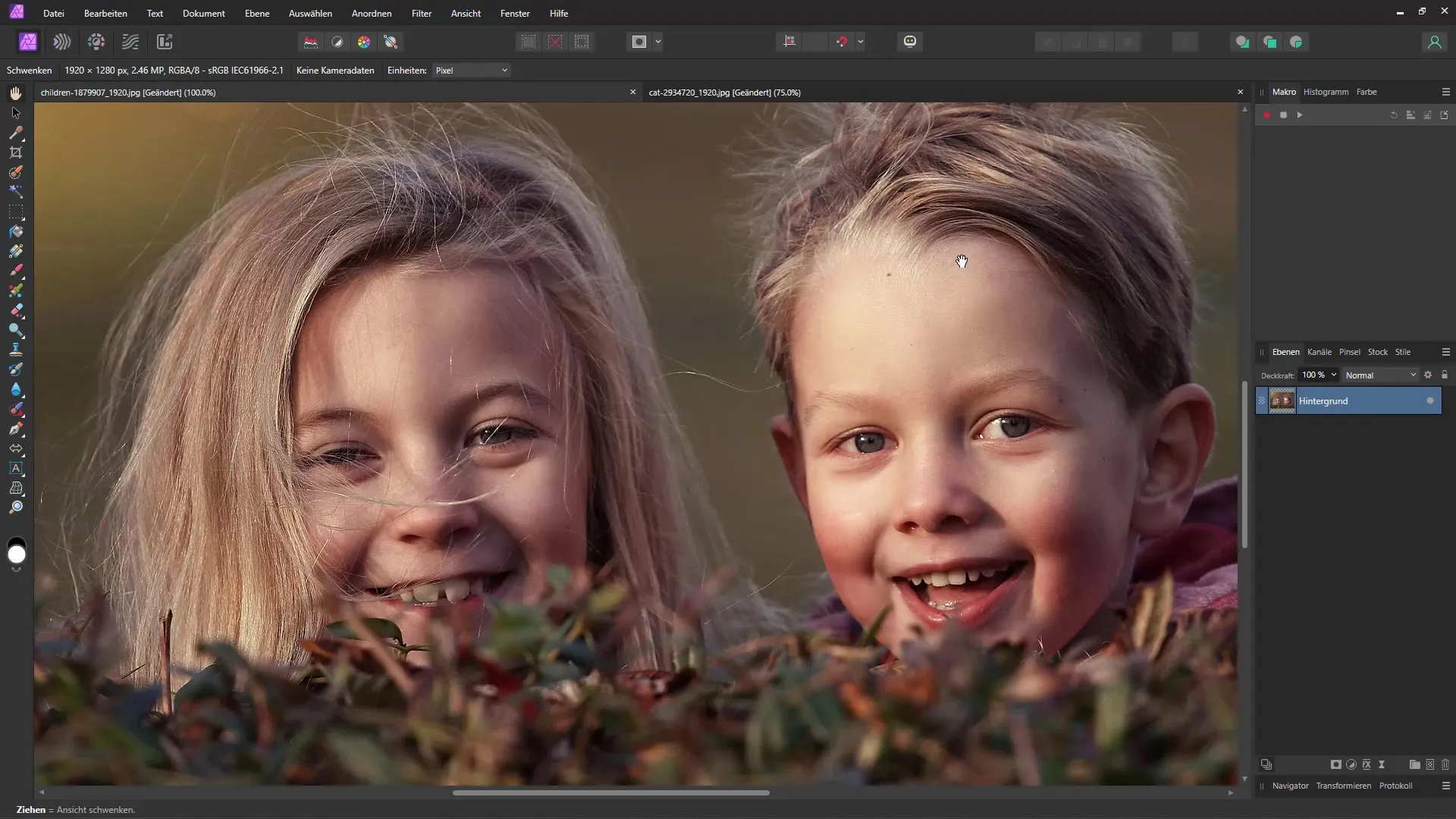 Pencil drawing in Affinity Photo: Step-by-step guide with macro