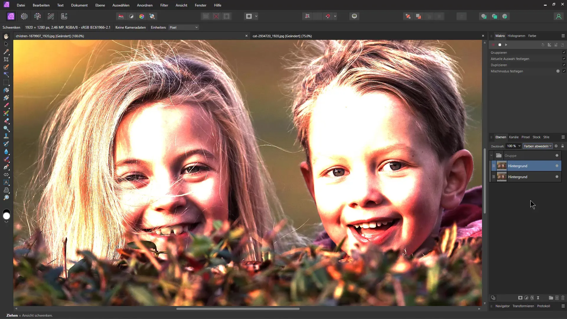 Pencil drawing in Affinity Photo: Step-by-step guide with macro