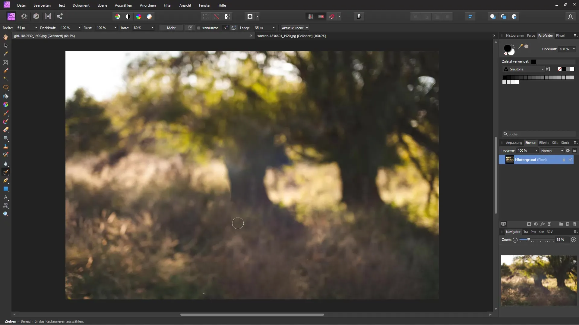 Storende objecten snel verwijderen in Affinity Photo - Een stap-voor-stap handleiding