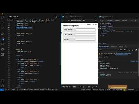 Flexbox en CSS & HTML: 4.3 | Entrées du formulaire