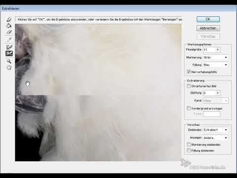 Optimal hair removal with extraction - perfect for curls, fur and feathers