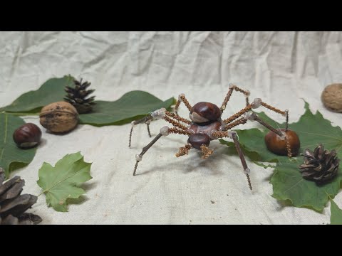 Image d’aperçu : Araignée en châtaignes : bricolage automnal pour enfants
