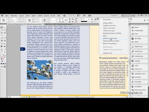 Apply effects to objects in InDesign